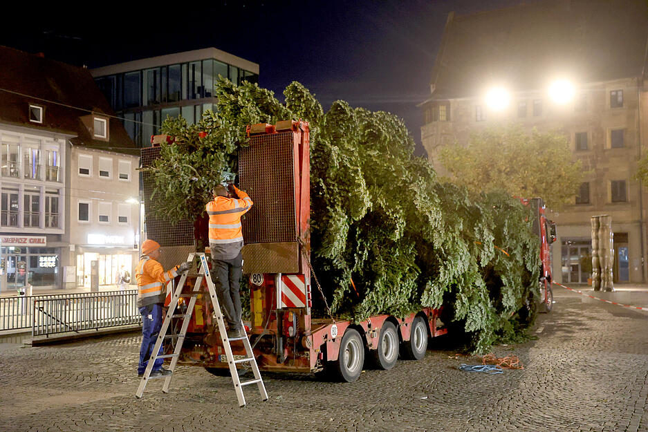 Am frühen Mittwochmorgen waren Arbeiter am Werk, um die große Weißtanne auf dem Heilbronner Marktplatz aufzustellen.