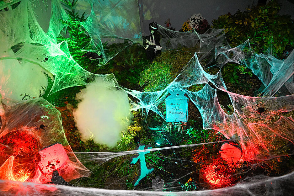 Halloween-Haus in Kirchhausen