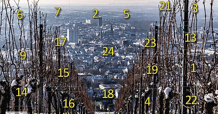 Mit mehr als 800 attraktiven Preisen bietet der Adventskalender des Heilbronner Lions Clubs eine Gewinnchance von mehr als elf Prozent. Mit mehr als 800 attraktiven Preisen bietet der Adventskalender des Heilbronner Lions Clubs eine Gewinnchance von mehr als elf Prozent.