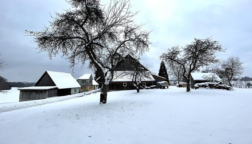 Tief verschneit zeigen sich die H&ouml;henlagen, wie hier in Maibach bei Mainhardt. Vereinzelt ziehen Langl&auml;ufer hier ihre Runden. Foto: Andr&eacute; Hatos