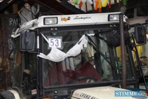 Faschingsumzug Bad Wimpfen II | 19.02.