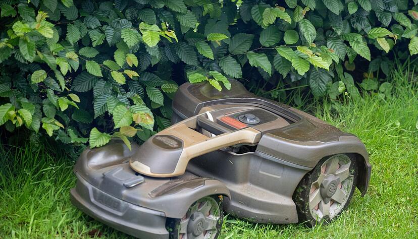 M&auml;hroboter sind vielen Gartenliebhabern lieb als Helfer. Doch sie sind gef&auml;hrlich f&uuml;r Wildtiere. (Symbol-Foto).