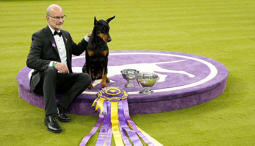 &laquo;Penny&raquo;, die Dobermann-Dame, ist die 42. weibliche Gewinnerin in der 150 Jahre alten Geschichte des Westminster-Hundewettbewerbs.