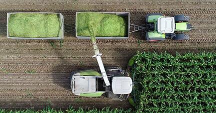 Ernte auf dem Feld eines Landwirtschaftsbetriebs: Der Mais wird sowohl für Biogasanlagen als auch als Tierfutter angebaut.