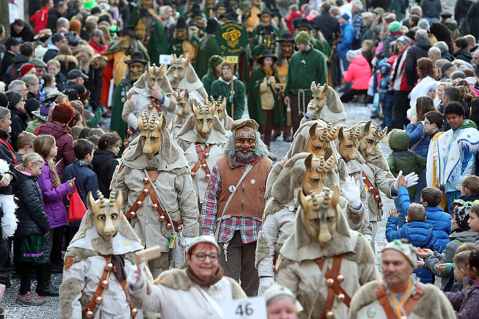 Faschingsumzug in Brackenheim