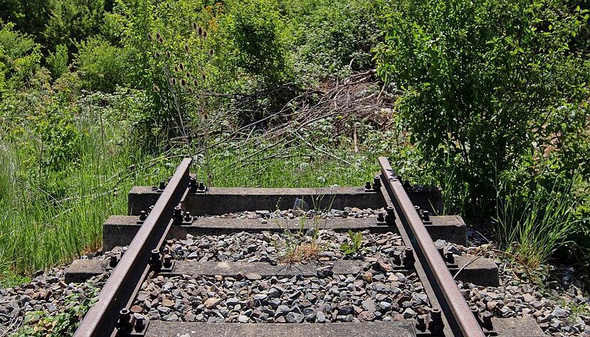 In Baden-Württemberg gibt es viele stillgelegte Bahnstrecken.
Foto: dpa
