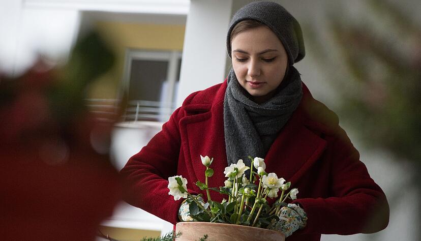 Christrosen sind winterharte Pflanzen, die sich gut für natürliche Weihnachtsdekorationen auf Balkon oder Terrasse eignen. Christrosen sind winterharte Pflanzen, die sich gut für natürliche Weihnachtsdekorationen auf Balkon oder Terrasse eignen.