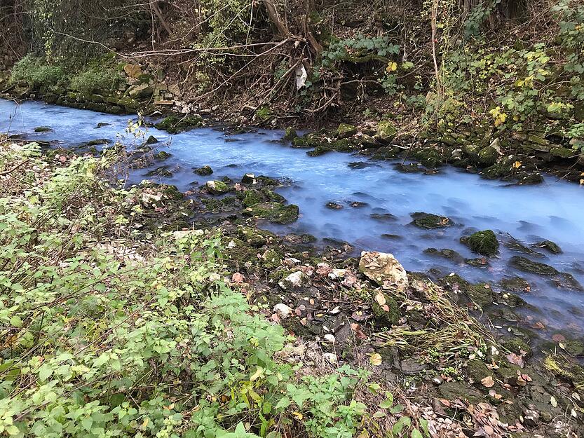 Gew&auml;sserverunreinigung in der Seckach bei M&ouml;ckm&uuml;hl