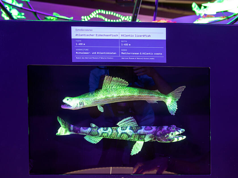 Tiefsee-Sonderausstellung in der Experimenta Tiefsee-Sonderausstellung in der Experimenta