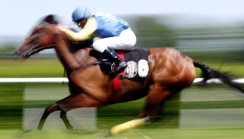 In einer Suppenküche findet ein Gast in seinem Essen den Mikrochip eines ehemaligen Rennpferdes. (Symbolfoto) In einer Suppenküche findet ein Gast in seinem Essen den Mikrochip eines ehemaligen Rennpferdes. (Symbolfoto)