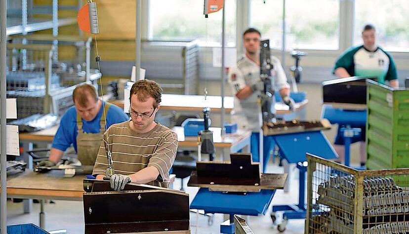 Die Menschen mit Behinderung erledigen den Auftrag f&uuml;r Anbauteile von Traktor-Karrosserien. Die 900 Quadratmeter gro&szlig;e Produktionshalle erm&ouml;glicht allein f&uuml;r diesen Bereich zehn Montagepl&auml;tze, was den Zeitdruck nimmt.Fotos: Mario Berger