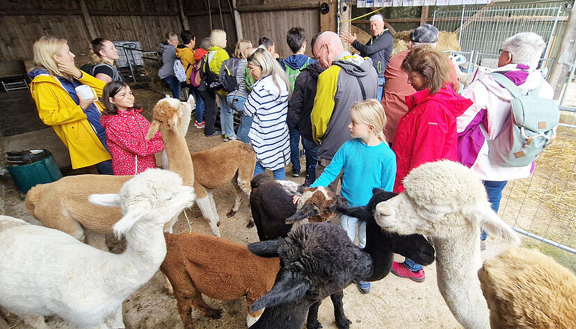 Die Stimme-Lesersommer-Aktion f&uuml;hrte nach Satteldorf.