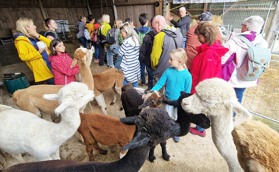 Die Stimme-Lesersommer-Aktion f&uuml;hrte nach Satteldorf.