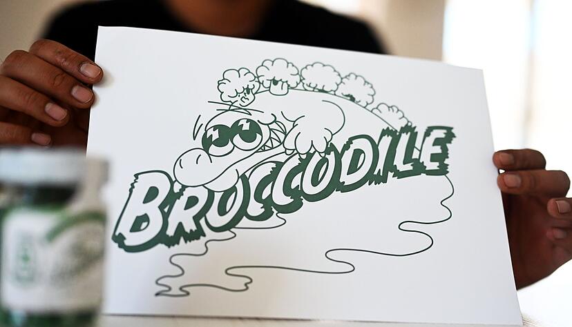 Broccodile Krokodil soll bleiben (Foto - Produktion)