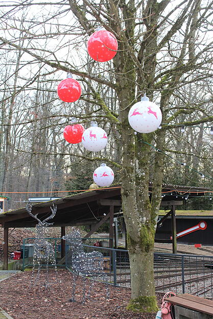 Auf dem ersten Weihnachtsmarkt der Dampfbahnfreunde in Friedrichsruhe wurde liebevoll dekoriert.