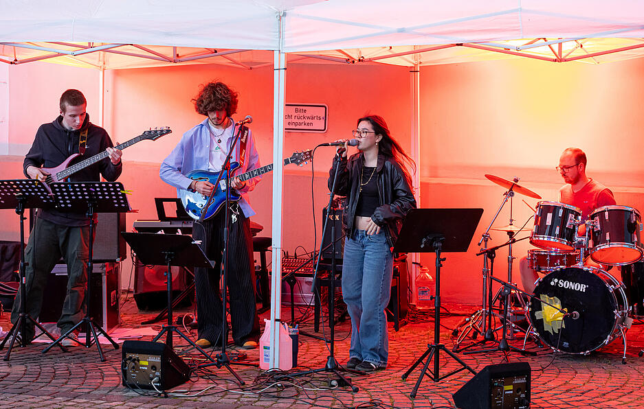 Impressionen von der Langen Kunstnacht in Bad Wimpfen.