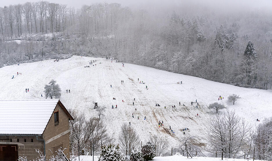 Rodeln am Stocksberg (Januar 2021)