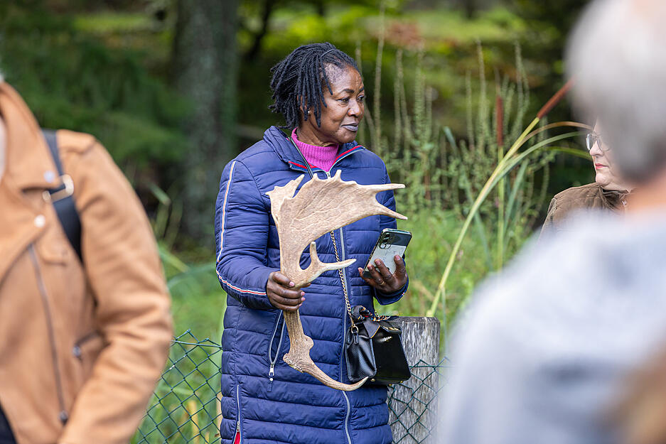 Besucher bei der Hirschbrunft im Wildparadies Tripsdrill.