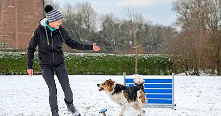 Nicht nur auf dem Hundeplatz sind Anne-Kathrin Weiß und Border Collie Hitch unzertrennlich. Im Sport feiern sie regelmäßig Siege.
Foto: Christiana Kunz