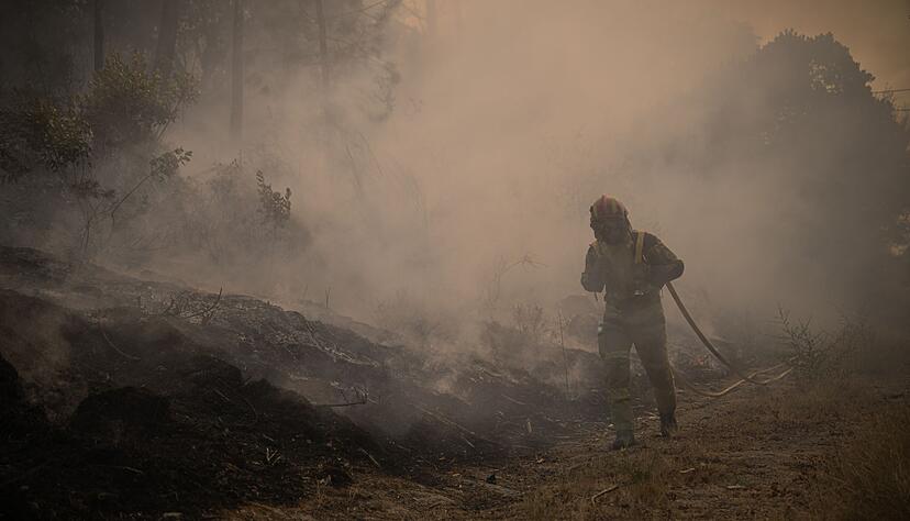 Die Brandbekämpfer am Boden sind Tag und Nacht im Einsatz gegen die Flammen in Portugal. Tagsüber werden sie von Löschflugzeugen und -hubschraubern unterstützt. Die Brandbekämpfer am Boden sind Tag und Nacht im Einsatz gegen die Flammen in Portugal. Tagsüber werden sie von Löschflugzeugen und -hubschraubern unterstützt.