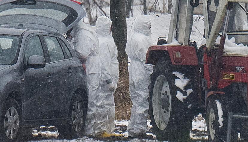 Nach dem Ausbruch der Maul- und Klauenseuche laufen Untersuchungen im Kreis M&auml;rkisch-Oderland