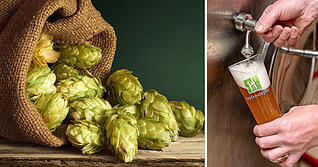 blurred background of brown barrels and hop in basket. blurred background of brown barrels and hop in basket.