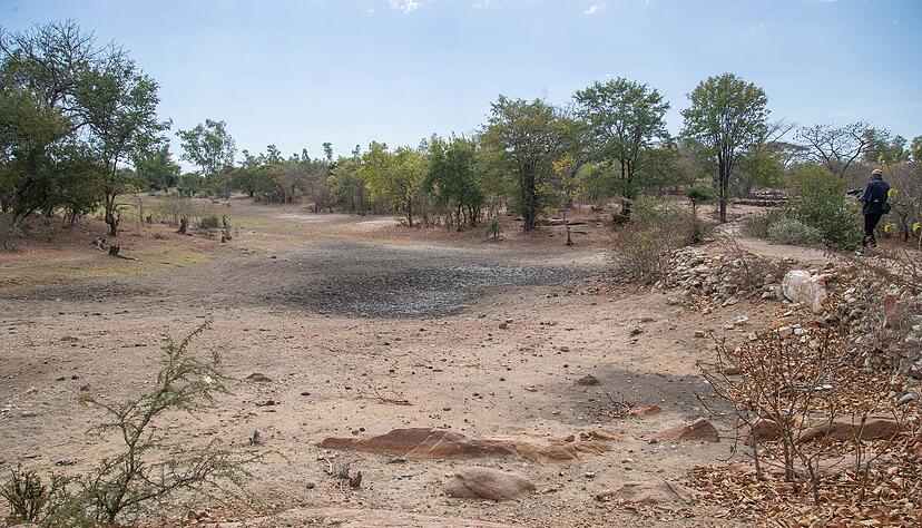 El Nino bringt D&uuml;rren in manchen Weltregionen (Archivbild)