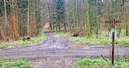 Hier im Fürfelder Waldgebiet Stöckach soll der Komplize von Schahraban K. am 16. August 2022 auf das Opfer eingestochen haben.
Foto: Hoffmann/Archiv Hier im Fürfelder Waldgebiet Stöckach soll der Komplize von Schahraban K. am 16. August 2022 auf das Opfer eingestochen haben.
Foto: Hoffmann/Archiv