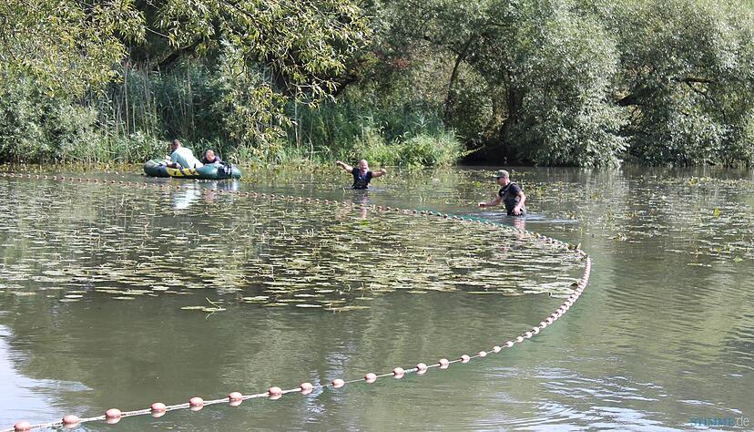 Jungfischer versuchen die Jagst bei Buchenbach abzufischen. Foto: Thomas Zimmermann