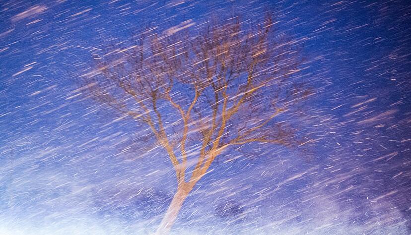 Mit langen Belichtungszeiten werden bei Wind und Sturm Bewegungen sichtbar.