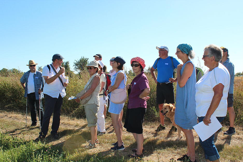 Lesersommer Mostbirnenweg Lesersommer Mostbirnenweg