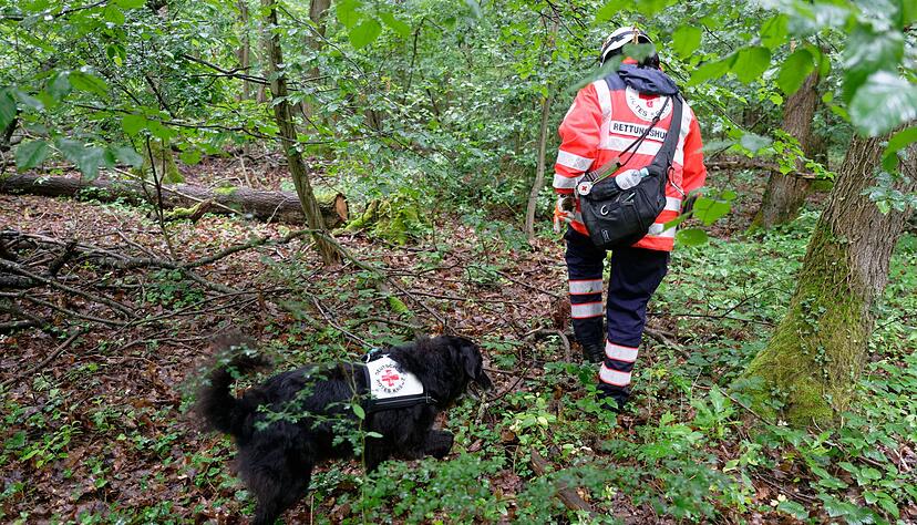 Glückliches Ende einer Vermisstensuche: Das verschwundene Mädchen ist wieder da (Archivbild). Glückliches Ende einer Vermisstensuche: Das verschwundene Mädchen ist wieder da (Archivbild).