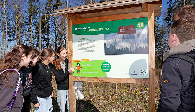 Schüler der 7a der Michael-Beheim-Schule, die zur Einweihung eingeladen war, studieren die Station zum Wald-Innenklima. Links unten auf den Tafeln ist die Kinderecke mit Fragen platziert. Der Pfad bietet sich auch als ideales Unterrichtsmaterial in Sachen Waldpädagogik für Schulklassen an. Schüler der 7a der Michael-Beheim-Schule, die zur Einweihung eingeladen war, studieren die Station zum Wald-Innenklima. Links unten auf den Tafeln ist die Kinderecke mit Fragen platziert. Der Pfad bietet sich auch als ideales Unterrichtsmaterial in Sachen Waldpädagogik für Schulklassen an.
