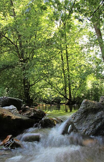 Die Rot schlängelt sich mal still, mal wild im Schatten der Bäume durchs Tal.