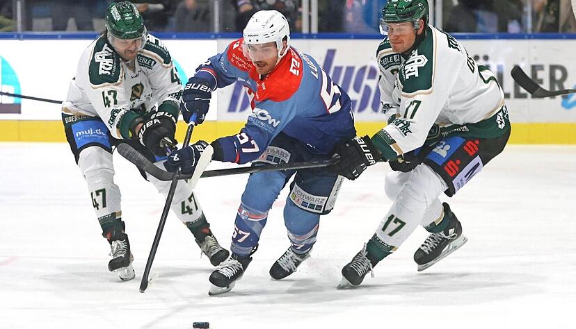 Luis Ludin (Mitte) und die Heilbronner Falken laufen ihren Gegnern in der Oberliga Süd seit elf Spielen davon. Luis Ludin (Mitte) und die Heilbronner Falken laufen ihren Gegnern in der Oberliga Süd seit elf Spielen davon.