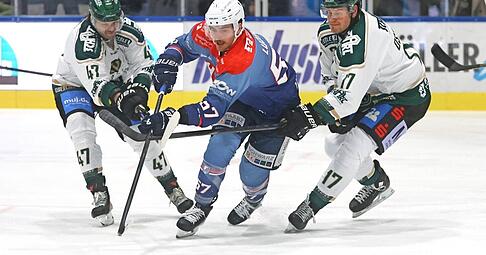 Luis Ludin (Mitte) und die Heilbronner Falken laufen ihren Gegnern in der Oberliga Süd seit elf Spielen davon.