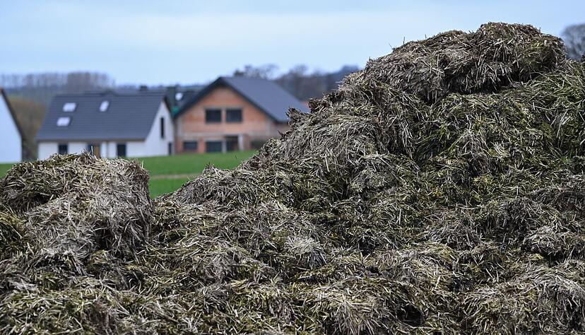 Ein Misthaufen entpuppte sich als unerwarteter Freund der Polizei. (Symbolbild) Ein Misthaufen entpuppte sich als unerwarteter Freund der Polizei. (Symbolbild)