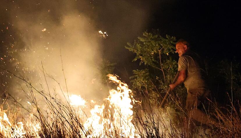 Umweltschutzorganisation: Sizilien war in diesem Jahr stark von Br&auml;nden betroffen.