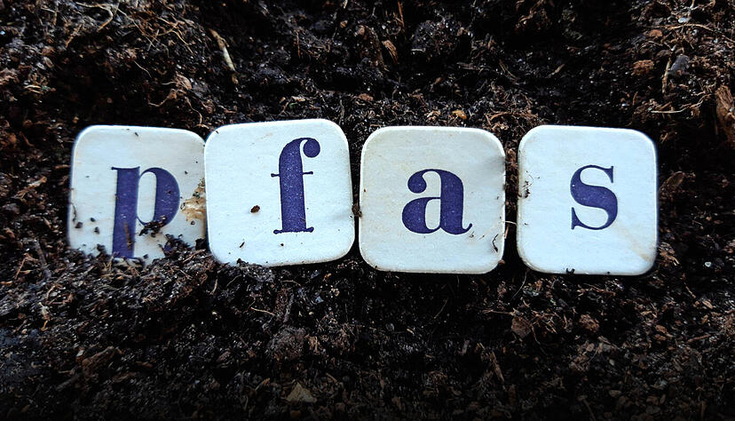 Foto: Chris Anton/stock.adobe.com