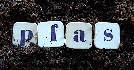 Foto: Chris Anton/stock.adobe.com