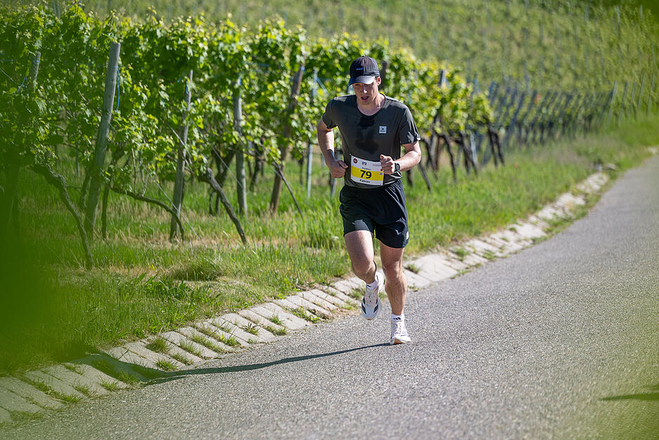Der Trollinger-Marathon führt die Läufer auch um die Weinberge in Heilbronns Umgebung. Der Trollinger-Marathon führt die Läufer auch um die Weinberge in Heilbronns Umgebung.