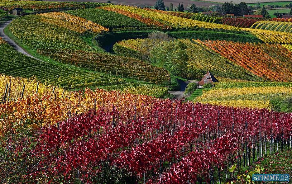 Farbenrausch am Staufenberg