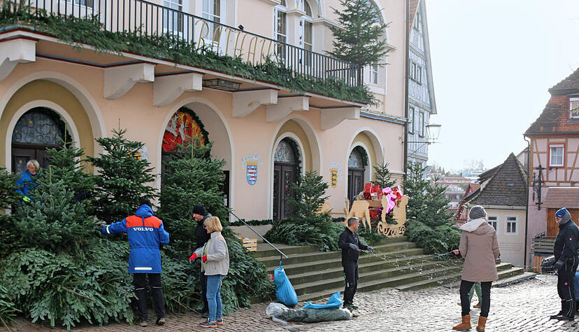 Weihnachtsbäume, Tannengrün und Lichterketten: die Altstadt wird herausgeputzt.

Foto: Ute Plückthun