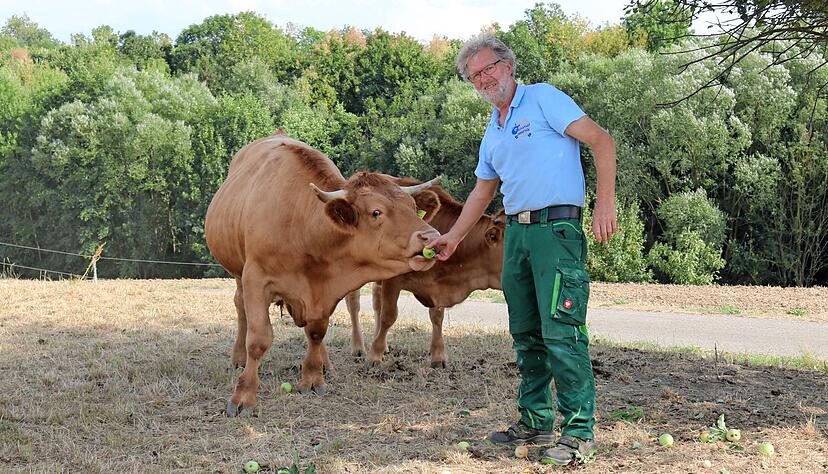 Karl Jauernick liebt seine Limpurger Rinder, die auf den Weiden rund um seinen Biohof in Bretzfeld-Weißlensburg grasen. Die Rasse zählt zu den besonderen Hohenloher Spezialitäten.
Foto: Archiv/Zimmermann Karl Jauernick liebt seine Limpurger Rinder, die auf den Weiden rund um seinen Biohof in Bretzfeld-Weißlensburg grasen. Die Rasse zählt zu den besonderen Hohenloher Spezialitäten.
Foto: Archiv/Zimmermann