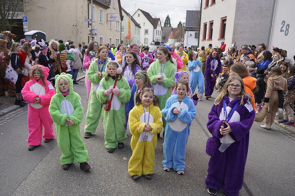 Faschingsumzug der Wolfsstecher in Bad Rappenau.