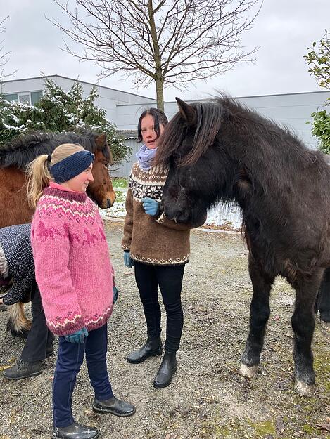 Der Öhringer Pferdemarkt am Sonntag lockte mit Ponys, Landmaschinen und vielen Verkaufsständen zahlreiche Besucher an.
