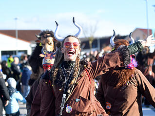 Der traditionelle Faschingsdienstag bildet den kr&ouml;nenden Abschluss der n&auml;rrischen Tage.