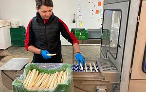 Erntehelferin Natalia Wawrzynska bedient im Spargelhof Schechter in Kirchardt die Spargelsch&auml;lmaschine.
Foto: K&uuml;hl