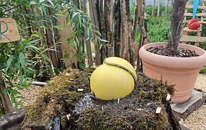 Zerborsten: Die gelbe Kugel war Teil einer Wasserinstallation. Es werde Ersatz geben, verspricht der evangelische Pfarrer Friedhelm Bokelmann.
Foto: Roy Jastrow