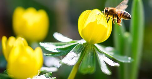Das Fr&uuml;hlingswetter bleibt erstmal in Heilbronn und Hohenlohe.